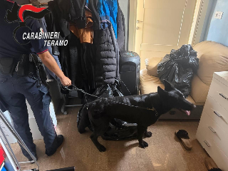 Giulianova - Madre e figlio arrestati per spaccio dai Carabinieri: blitz con i Cinofili